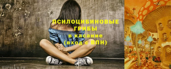 дживик Алексин