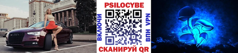 магазин    Новотитаровская  Галлюциногенные грибы Psilocybe 